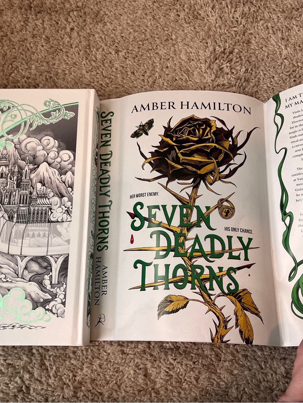 Seven Deadly Thorns fairyloot special edition book by Amber Hamilton - Picture 7 of 7